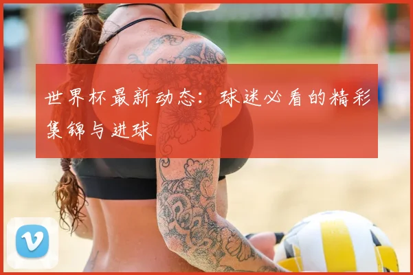 世界杯最新动态:球迷必看的精彩集锦与进球