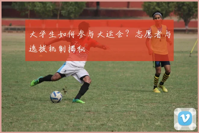 大学生如何参与大运会？志愿者与选拔机制揭秘