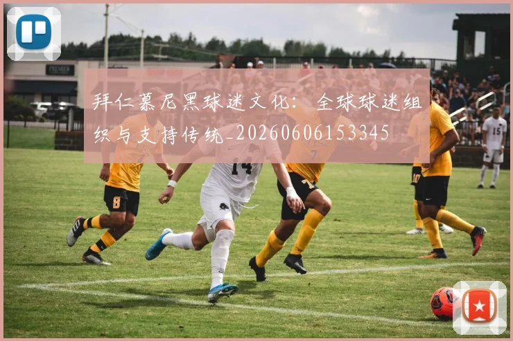 拜仁慕尼黑球迷文化:全球球迷组织与支持传统_20260606153345